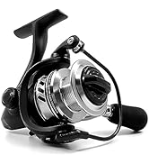 Ashconfish Spinning Reel, Saltwater Spinning Fishing Reels, Ultra Lightweight Body, 8 Stainless S...