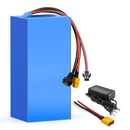 SOLLVIE 36V7.8Ah Lithium Battery Pack Built-in 30A BMS(0-750W Motor) Includes 2A Charger XT60&SM Connector for Jetson Bolt Pro and DIY Projects 7.48x2.75x2.75 in