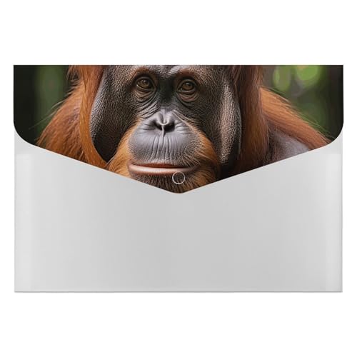 Porte-documents Orangutan durable à 6 compartiments pour bureau