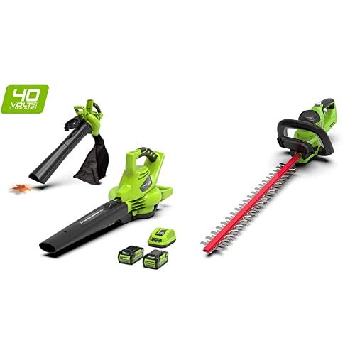 Greenworks Aspiradora de Batería y Soplador de Hojas 2-in-1 + Cortasetos Batería