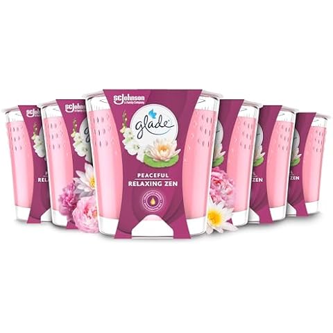Glade Relaxing Zen Scented Jar Candles Cover