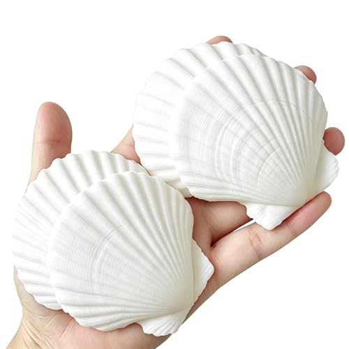 Image of QICQDRAM 30PCS Seashells for Crafts 2''-3'' Scallop Shells for Painting | White Small Scallop Shells Bulk for DIY Beaching Wedding Decor Clam Shells