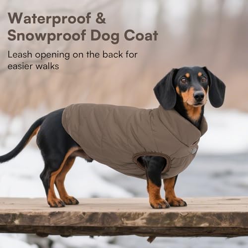 ASENKU Hundemantel Winter Hundemantel wasserdichte für Grosse Hunde Warme Fleece Hundejacke mit Geschirr Winddichte Wintermantel Hund Kleidung L