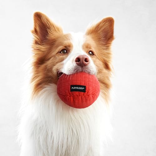 Playology Juguete Mordible de Peluche con Sonido para Perro miniatura 5