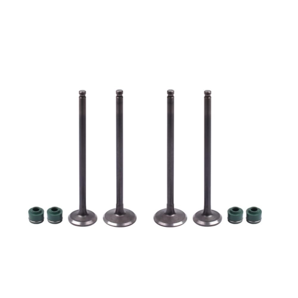 Cnljphfho 2X Intake 2X Exhaust Intake And Exhaust Valve Stem Kit Fit For Yamaha Fz400 1997 Fzr400 1Wg 1986-1987 4.5Mm Cylinder 16 Motorcycle Engine Parts(2X Intake 2X Exhaust)
