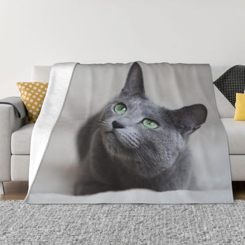 ѕz VAu[ lR L L DF 킢  uPbg  ӂӂ GARuPbg Ђ|  _炩G tl 􂦂 Ódh~ lGKp lC v[g 102cmx76cm