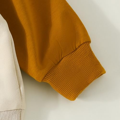 Toddler Boys Girls Sweater Autumn Long Sleeved Round Neck Pumpkin Letter Printing Color Block Girls Soft Fleece Pullover4