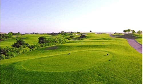 Jigsaw puzzle 1000 Piece Golf course 70cmx50cn Adult Children Intellectual Toy