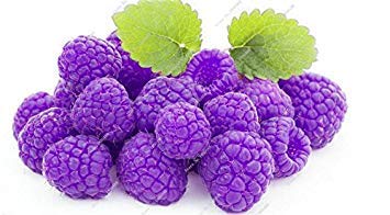 Vista Bonsai Raspberry Mulberry Seed Black Berry Blackberry Pianta perenne Pianta Delicious Succulent Fruit Best Gift per Child 400 Pz 10 - Afbeelding 3
