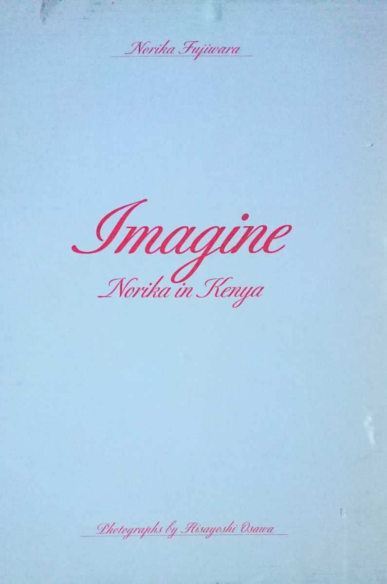 Amazon.co.jp: 藤原紀香 写真集Imagine～Norika in Kenya 未開封