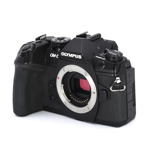 Amazon.com : Olympus OM-D E-M1 Mark II, Micro Four Thirds System