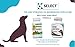 K9 Select HMR Lignans for Dogs - Enhancer for Overall Wellness, Immune Support for Dogs - Norway Spruce Extract Holistic Dog Health - Digestion, & Coat Care - Peanut Butter, 20mg, 90 Tablets