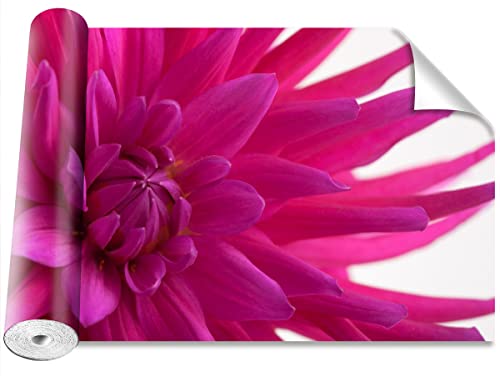 Papier Peint Moderne Dalia Rose 208x146cm pour Rénover un Mur Terne