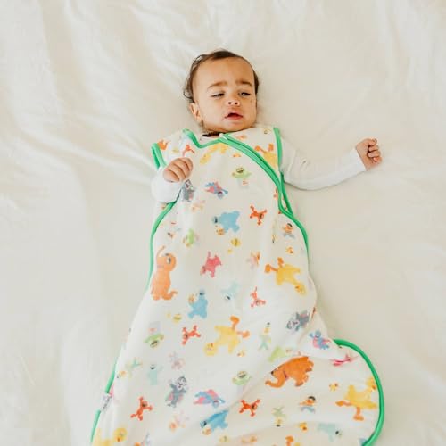 Image of Copper Pearl Baby Sleep Sack, Sesame Friends - Wearable Blanket for 0-6 Months, Sleeveless Sleep Sack for Baby Boy or Girl