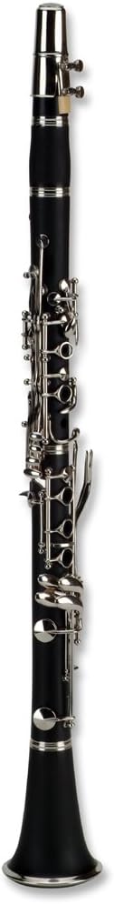 SKY Bb Clarinet w/ 7 Reeds, Accessories, Backpackable Case