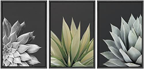 SIGNWIN Framed Canvas Print Wall Art Trio of Echevaria Succulents