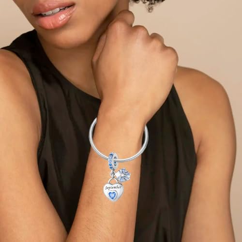 Heart Birthstone Charms 925 Sterling Silver Charms for Bracelets and Necklaces Birthday Christmas Women's Jewellery Gifts3