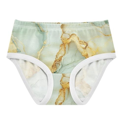 Training Panties Panties Training Briefs Underwear for Toddler in Sizes 2T,3T, 4T, 5T, 6Y and 8Y