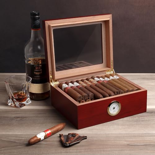 Image of Mantello Cigars 25-50 Cigar Desktop Humidor Humidifier Royale Glasstop