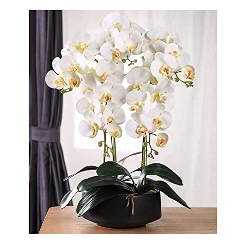 Orchidée artificielle Phalaenopsis pot céramique fausse fleur plante décoration