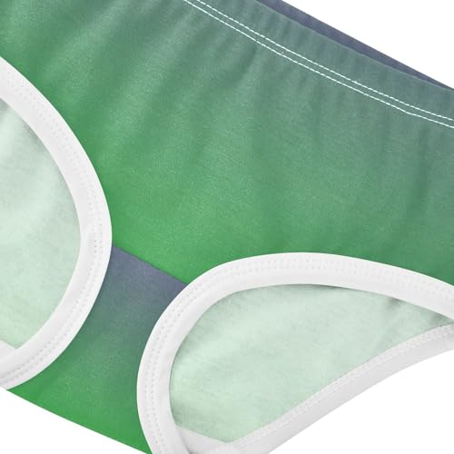 Joisal Toddler Girls Underwear 2t Cotton Panties for Girl Fun Print Briefs Kids Undies Violet Malachite Gradient Ombre4