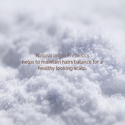 Image of L'Occitane Gentle & Balance Conditioner Refill, 500 ml | Sulphate Free| Lavender Essential Oil | For All Hair Types (Pack of 2)