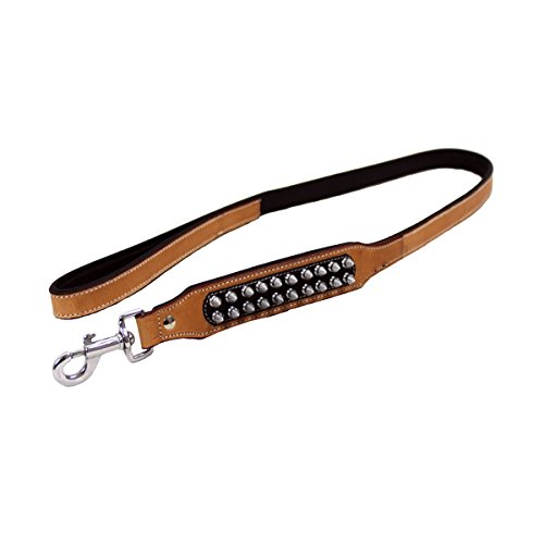 MICHUR Strike Leine Hundeleine Leder, Flachleine, Lederleine Hund, PASSEND ZUM Halsband Strike, Beige, Schwarz, BREIT Leder Gr. (ca.) 150x2,5cm, passend zu Halsband Strike No.1
