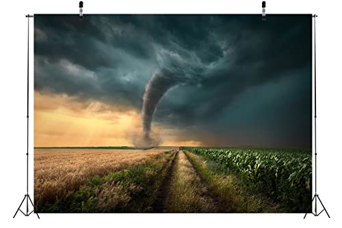 Fondo fotográfico BELECO 7x5ft tela poliéster miniatura 3
