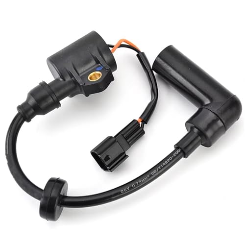 Bobine d'allumage robuste et étanche pour moteurs marins 40HP