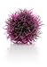 biOrb Pet Ball For All Breeds, Purple, 1.76 Ounces