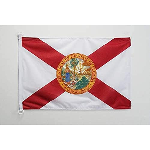 AZ FLAG, Florida Flag, 2x3 Ft, For Outdoor, US state of Floride Banner Knitted Polyester with Two Plastic Rings