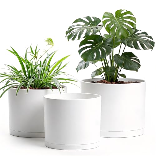 Areutxbis 10/9/8 Inch Plant Pots 3 Pack with Drainage Hole & Saucers