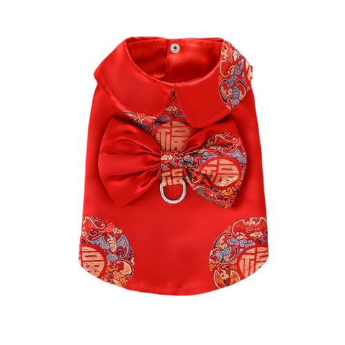 UGYMSIA ybg   t ʋC  AefBxAArVt[[A|jAAL̂Ap[eB[ANAdȎhJAѐD (܂̏jɂĂ,S)