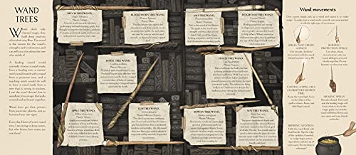 A Natural History Of Magick (Folklore Field Guides) #TOP4