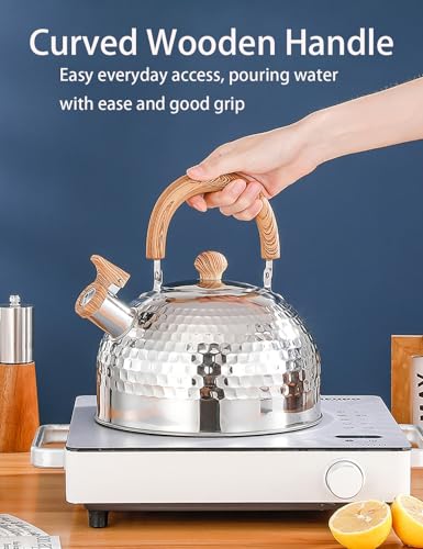 Bouilloire sifflante en acier inoxydable pour tous types de plaques de cuisson