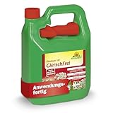 Neudorff Finalsan AF GierschFrei – Schnell wirkender Unkrautvernichter gegen Giersch und Ackerschachtelhalm für 100 m². Wirkt bis in die Wurzel, 3 Liter