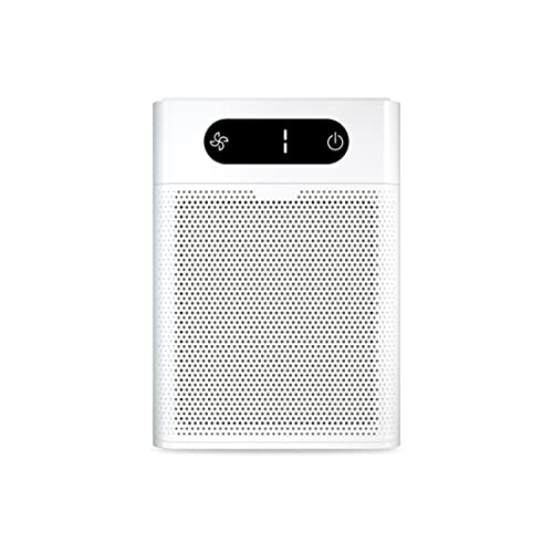 Purificatore d'Aria con Filtro H13 True HEPA