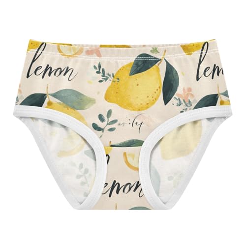 Wusikd Lemons Flowers Leaf Girls' Underwear Cotton Girls Briefs Soft Toddler Underwear 2T