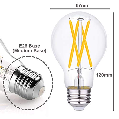 LightAccents Indoor/Outdoor Dimmable LED Filament A21 Light Bulb, 12