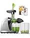 AMZCHEF Entsafter Maschinen - Cold Press Slow Juicer - Masticating Juicer for Whole Fruits and Vegetables - Delicate Chew No Need To Filter - BPA Free Juice Extractor with 2 Cups and Brush - Cold Grey