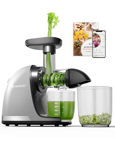 AMZCHEF Entsafter Maschinen - Cold Press Slow Juicer - Masticating Juicer for Whole Fruits and Vegetables - Delicate Chew No Need To Filter - BPA Free Juice Extractor with 2 Cups and Brush - Cold Grey