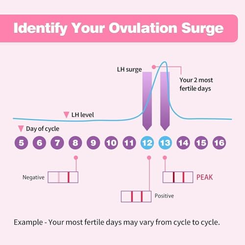 Image of HEAL-CHECK 40 Count Ovulation Test Strips with Cups, Bulk Ovulation Test Strips for Women, Ovulation Predictor Kit, Accurate Fertility Tests for Home, Individually Wrapped 5mm LH