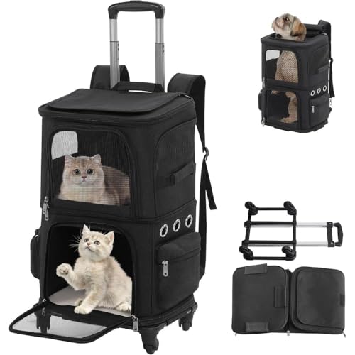 L 2 C L[ bN LX^[t ^  L[ J[g 2i ybg lR  g[obO e ʋC s/ʉ@/ʋ@/ЊQp O (ubN, O\ȃbNX^C)