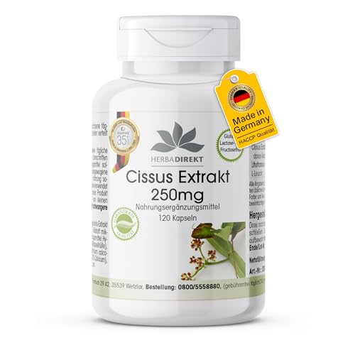 Cissus Kapseln - Cissus Quadrangularis Extrakt 250mg - 20% Ketosterone - 120 Kapseln | HERBADIREKT by Warnke Vitalstoffe - Deutsche Apothekenqualität