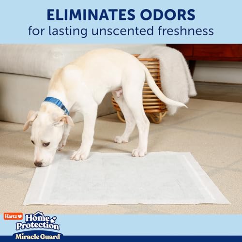 Image of Hartz Miracle Guard Dog and Puppy Dog Pads Max Absorbency 24 Hour Use Odor Eliminating No Leaks, 2XL Size, 20 Count (Pack of 2)