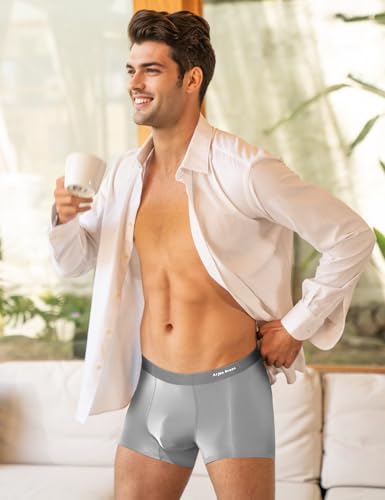 Arjen Kroos Men's Underwear 4 Pack Ice Silk Seamless Breathable Trunks Boxer Briefs for Men2