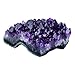 WUYOUSHI Natural Amethyst Crystal Cluster Healing Stones Raw Amethyst Rock Healing Crystals Energy Balance Reiki Meditation and Spiritual Growth (1Pc 0.16-0.22 LB)