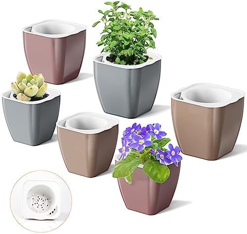 HEMOPLT Plant Pots - Self Watering Pots for Indoor Plants - Planters for Indoor Plants - Pack of 6 5" & 7" African Violet Pots - Orchid Pots - Champagne Gold - Silver - Rose Gold