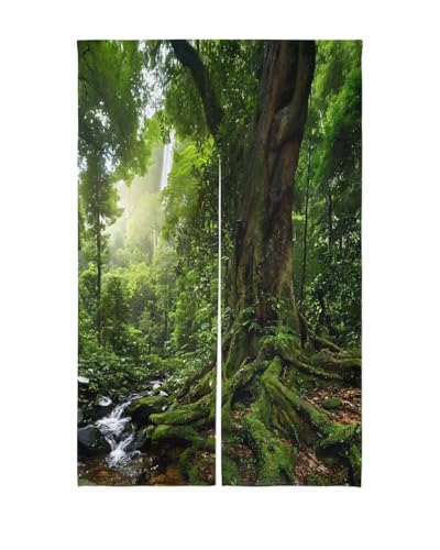Bexnympi ̂ 75x120cm ˌJ[e  ډB UV gJ[e k d؂ ag h h rO Lb`  o Q  Ԏd؂ i X  炬  ΐF
