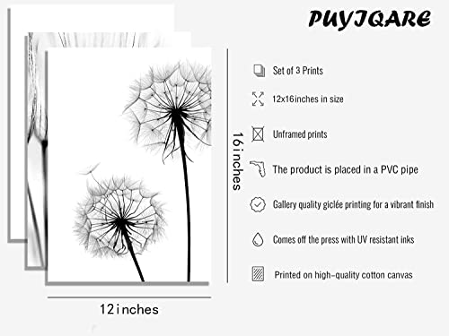 Puyiqare Black And White Canvas Painting Pictures Dandelion Canvas Art Print Nordic Dandelion Poster Canvas Wall Art Bedroom Decoration No Frame (12X16Inchx3 Unframed) #TOP1